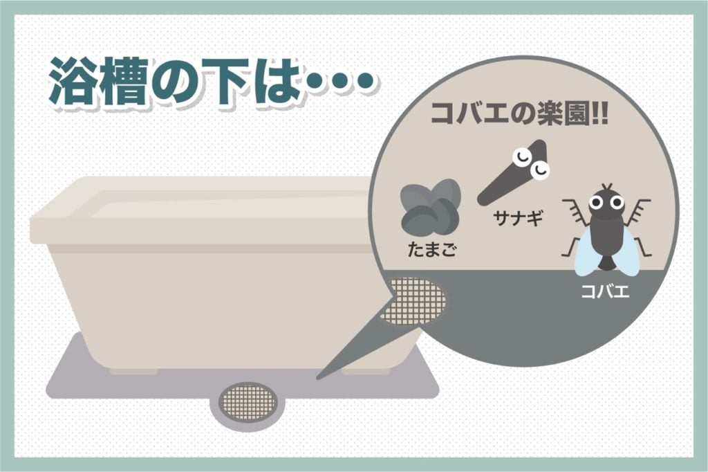 浴槽の下はコバエの大好物